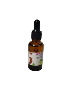 Sérum Minceur
